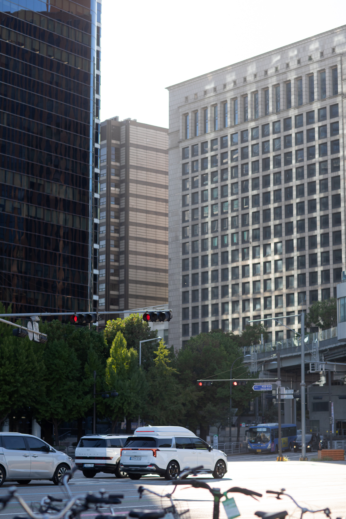 20260905-084049-mojinchan.jpg