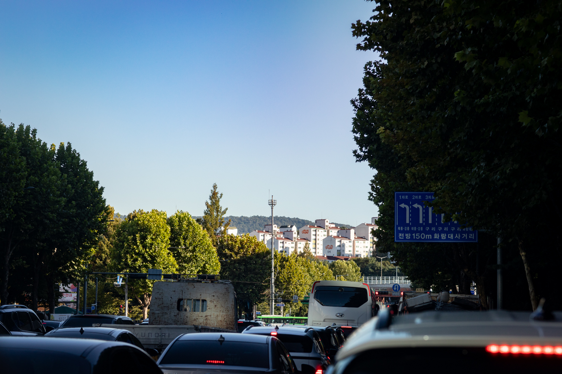 20260915-173254-mojinchan.jpg