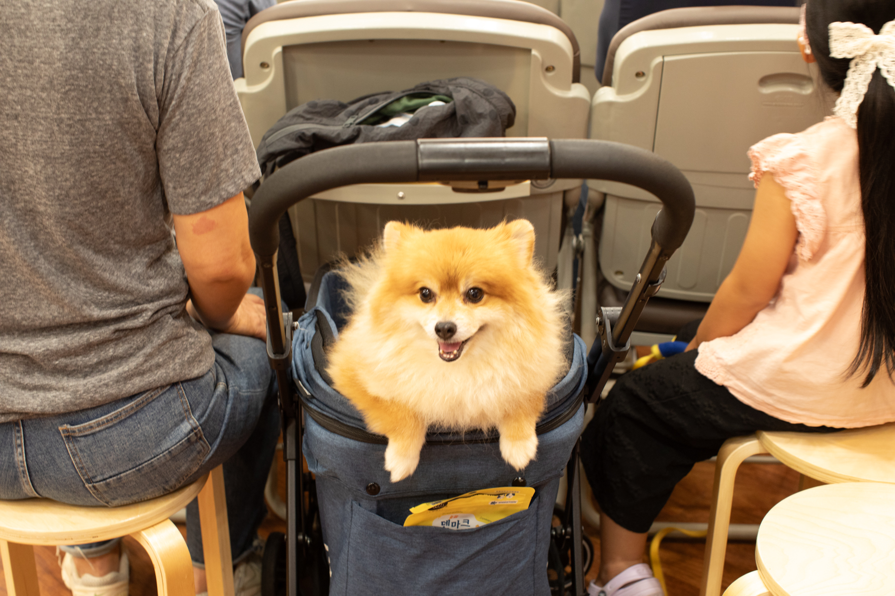 20260816-123854-mojinchan.jpg