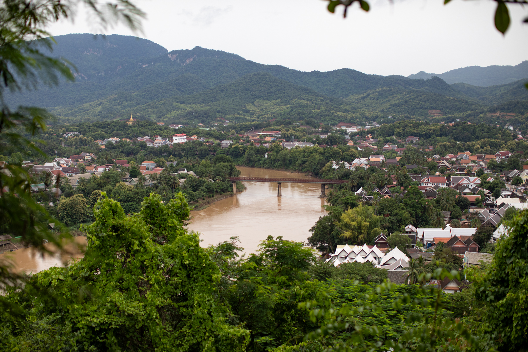20260820-151357-mojinchan.jpg