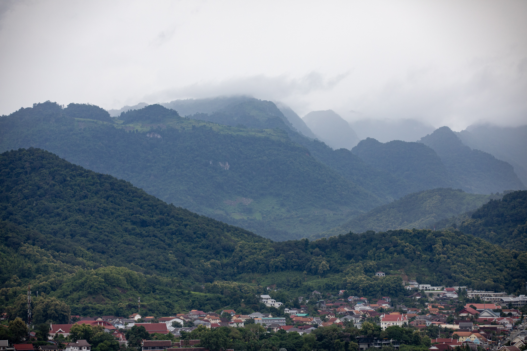 20260820-152152-mojinchan.jpg