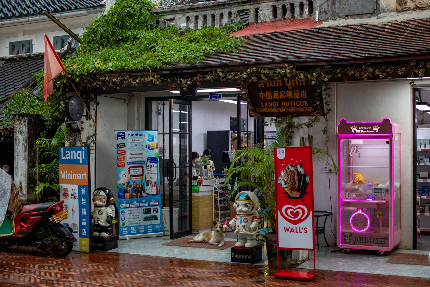 20260820-203838-mojinchan.jpg