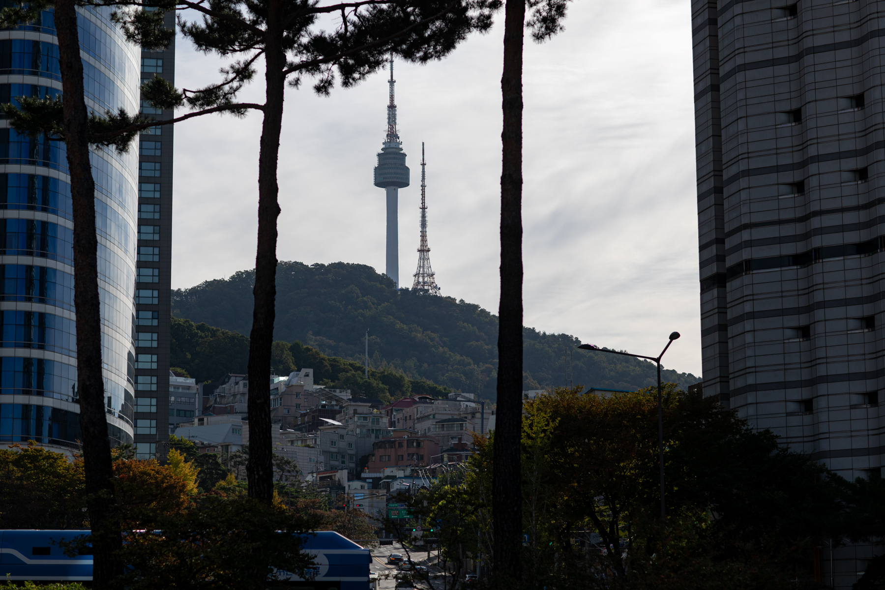 20261003-091632-mojinchan.jpg 20261003-091632-mojinchan.jpg