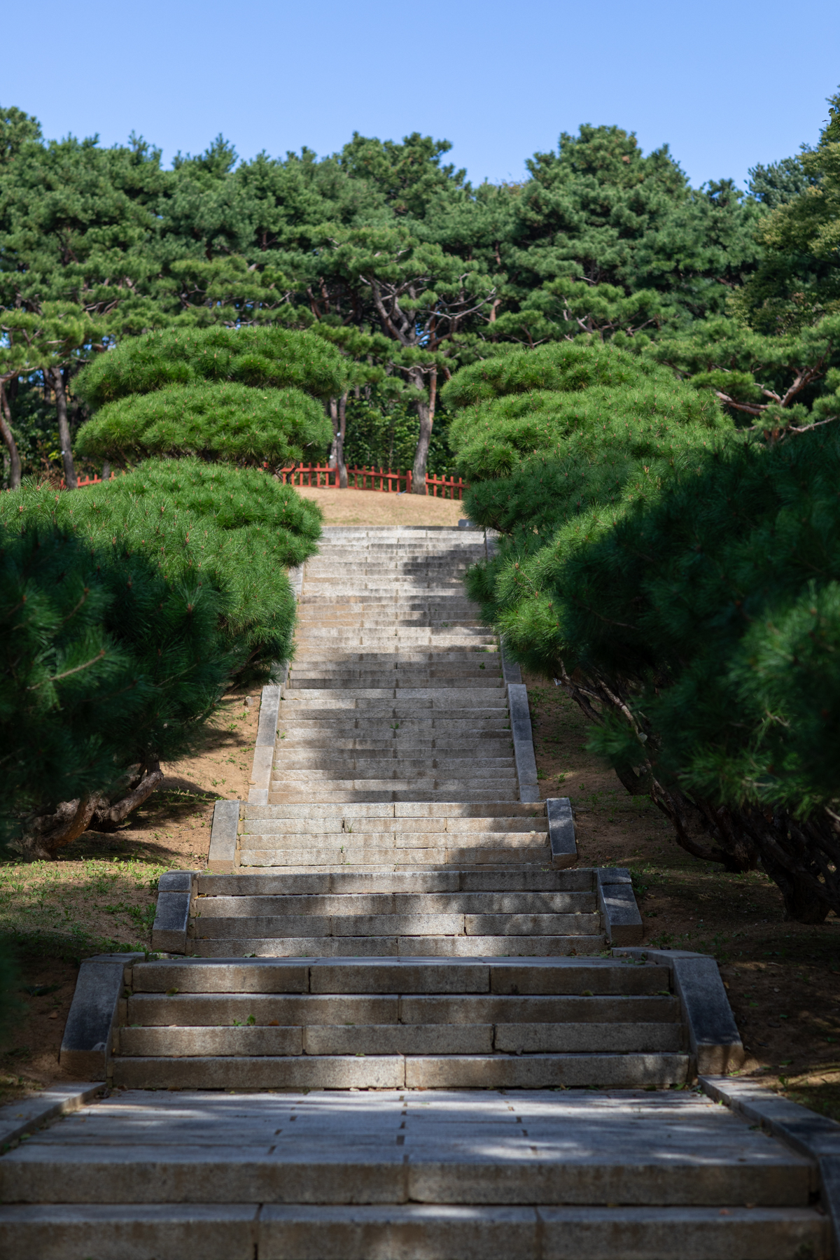 20261003-110910-mojinchan.jpg 20261003-110910-mojinchan.jpg