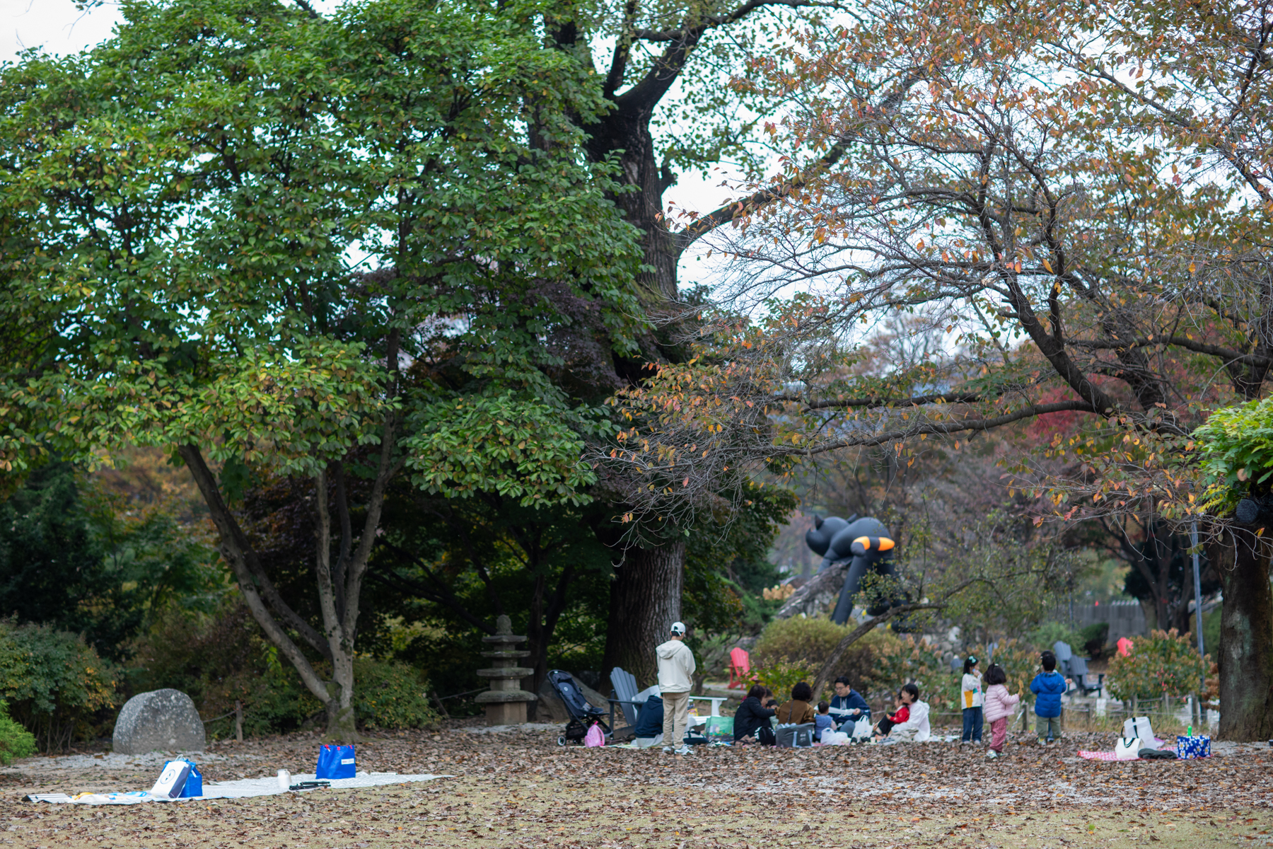 20261024-122417-mojinchan.jpg