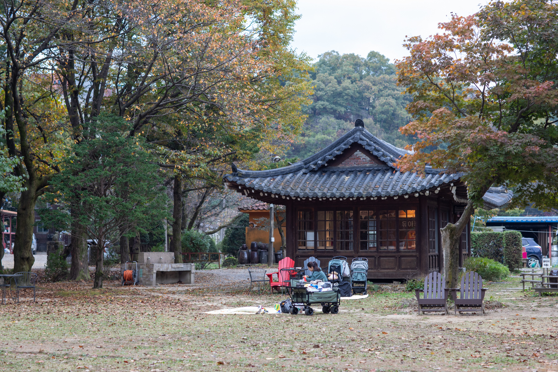 20261024-122501-mojinchan.jpg