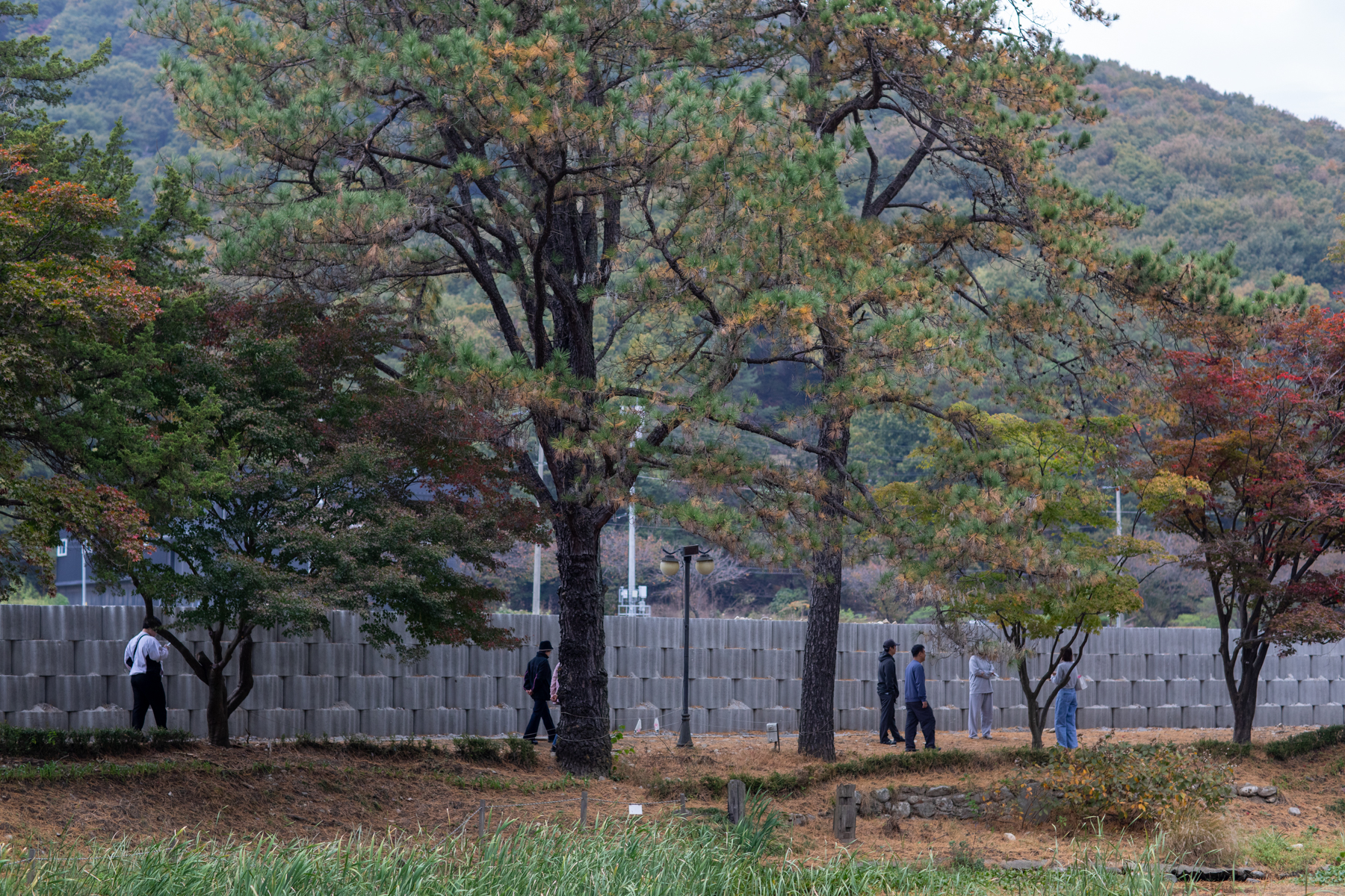20261024-132416-mojinchan.jpg