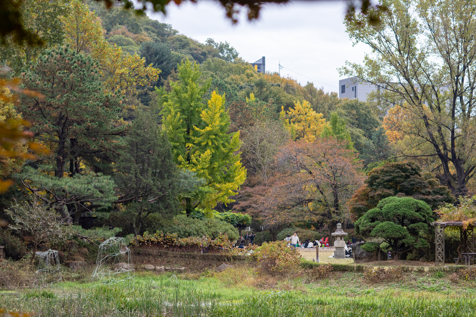 20261024-132609-mojinchan.jpg