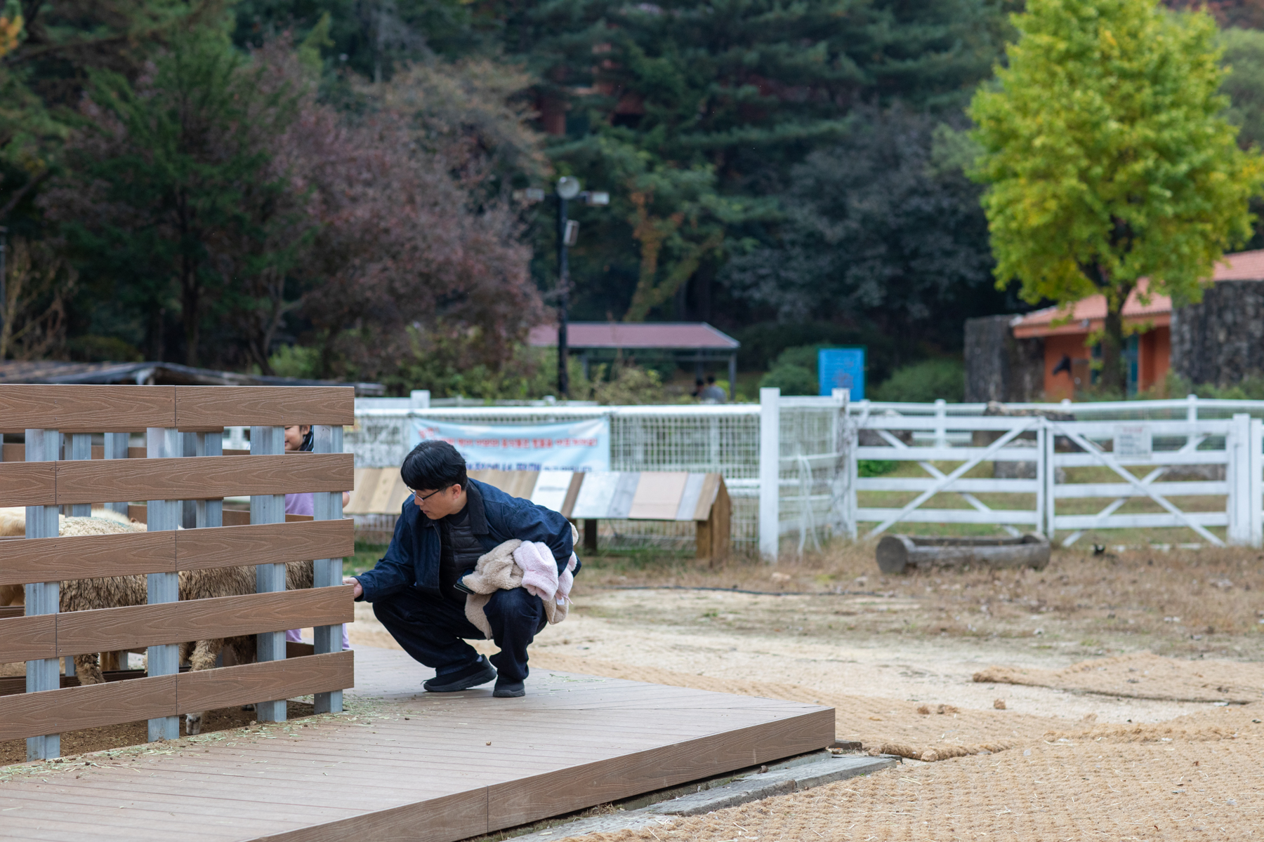 20261024-133548-mojinchan.jpg