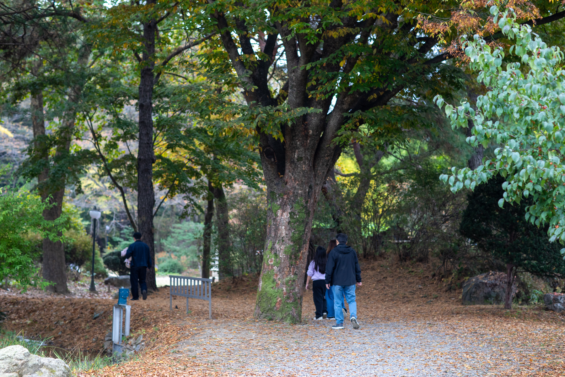 20261024-134550-mojinchan.jpg