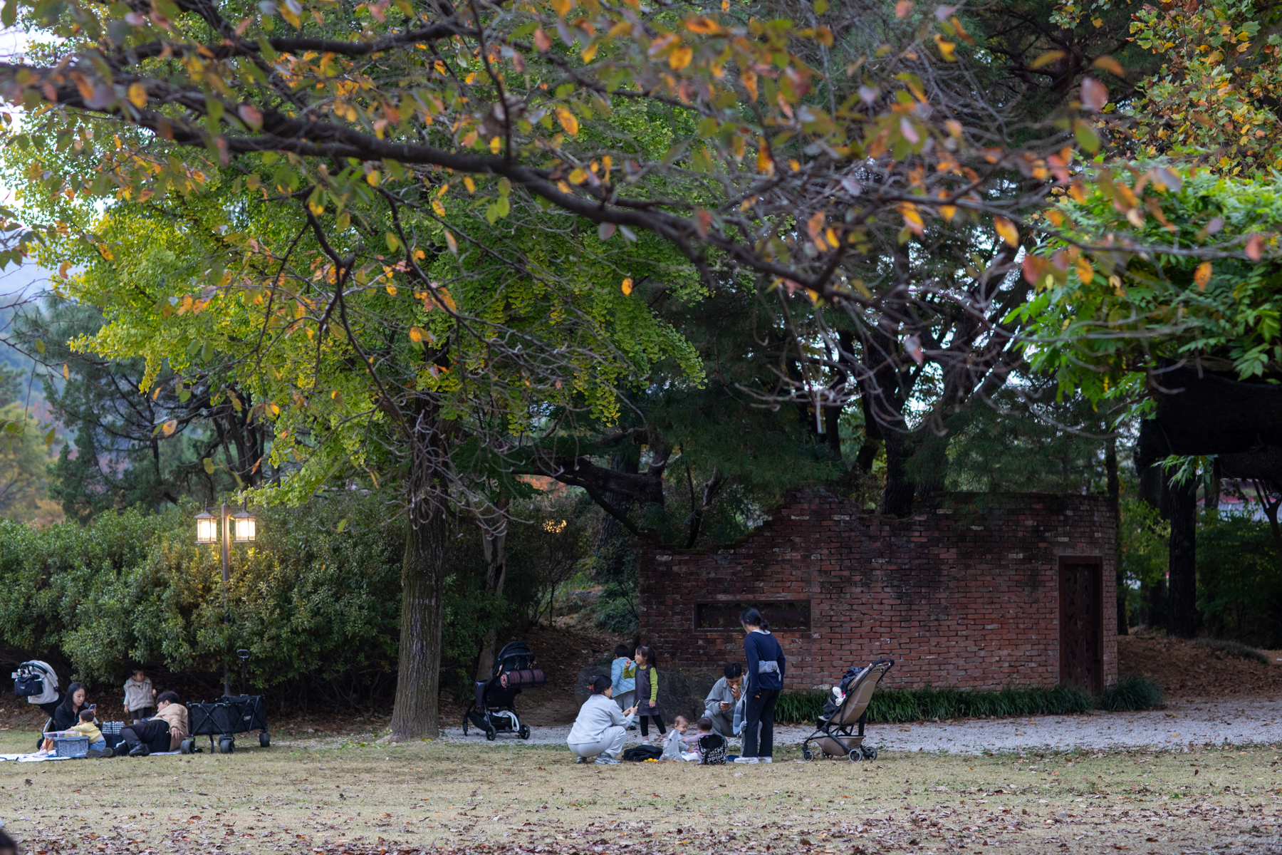 20261024-140854-mojinchan.jpg