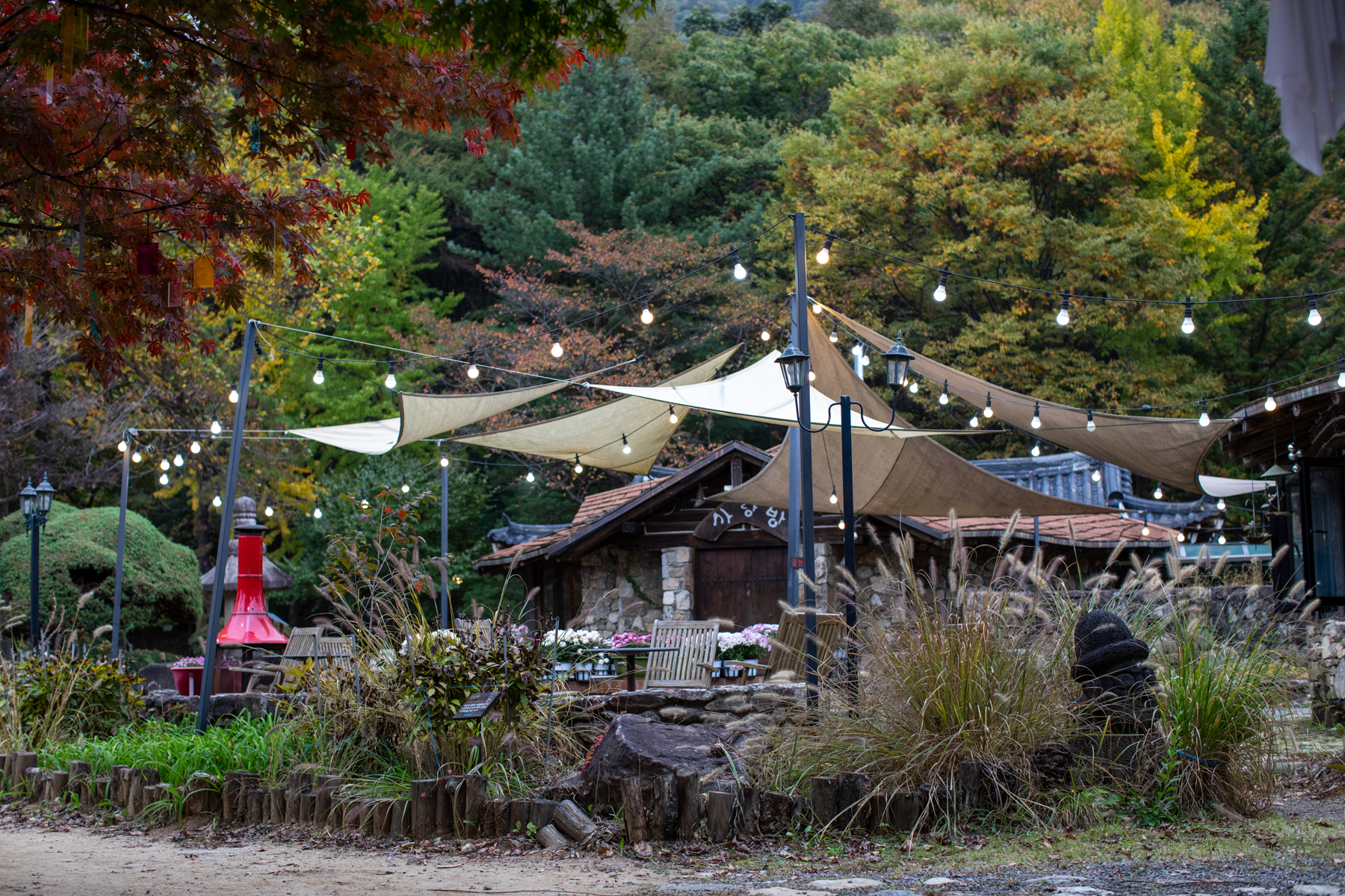 20261024-142642-mojinchan.jpg