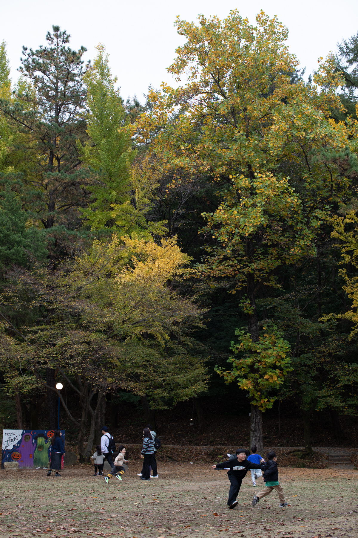 20261024-142724-mojinchan.jpg