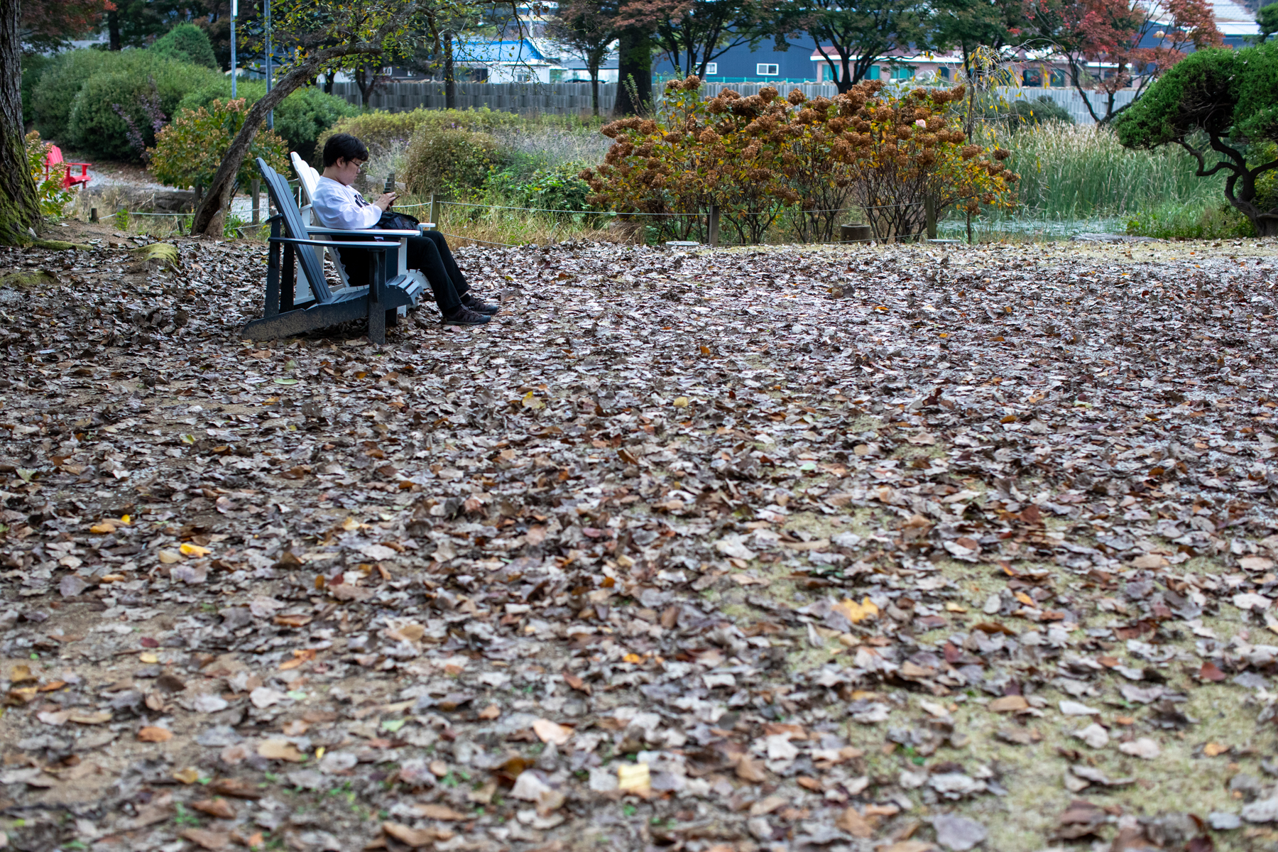 20261024-143154-mojinchan.jpg