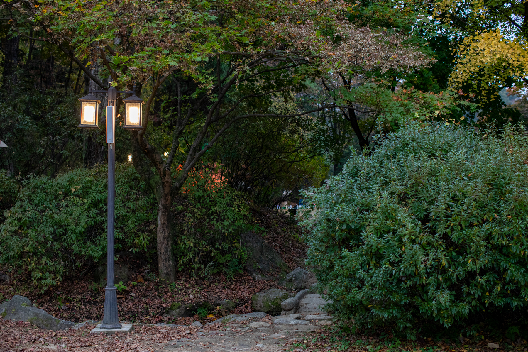 20261024-143853-mojinchan.jpg