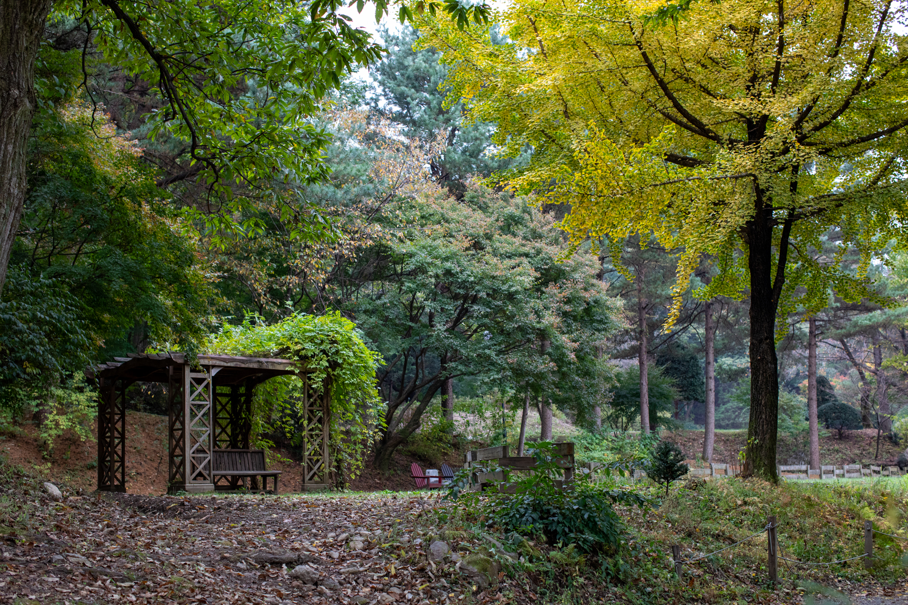 20261024-145730-mojinchan.jpg