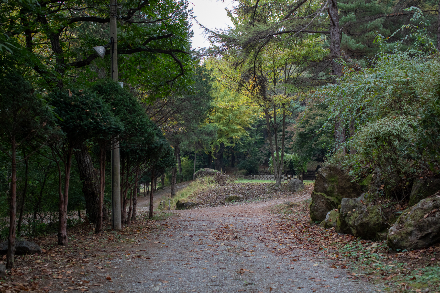 20261024-145926-mojinchan.jpg