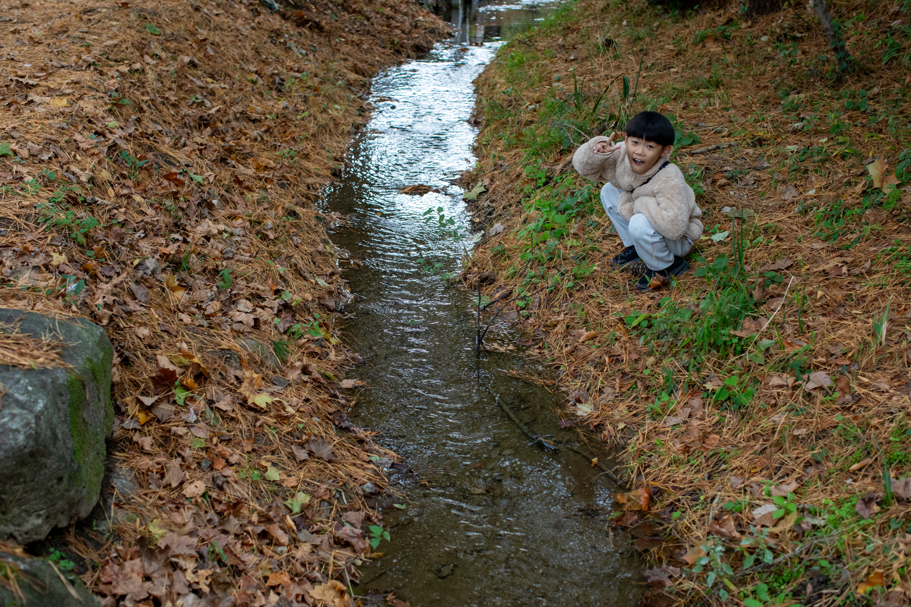 20261024-150800-mojinchan.jpg