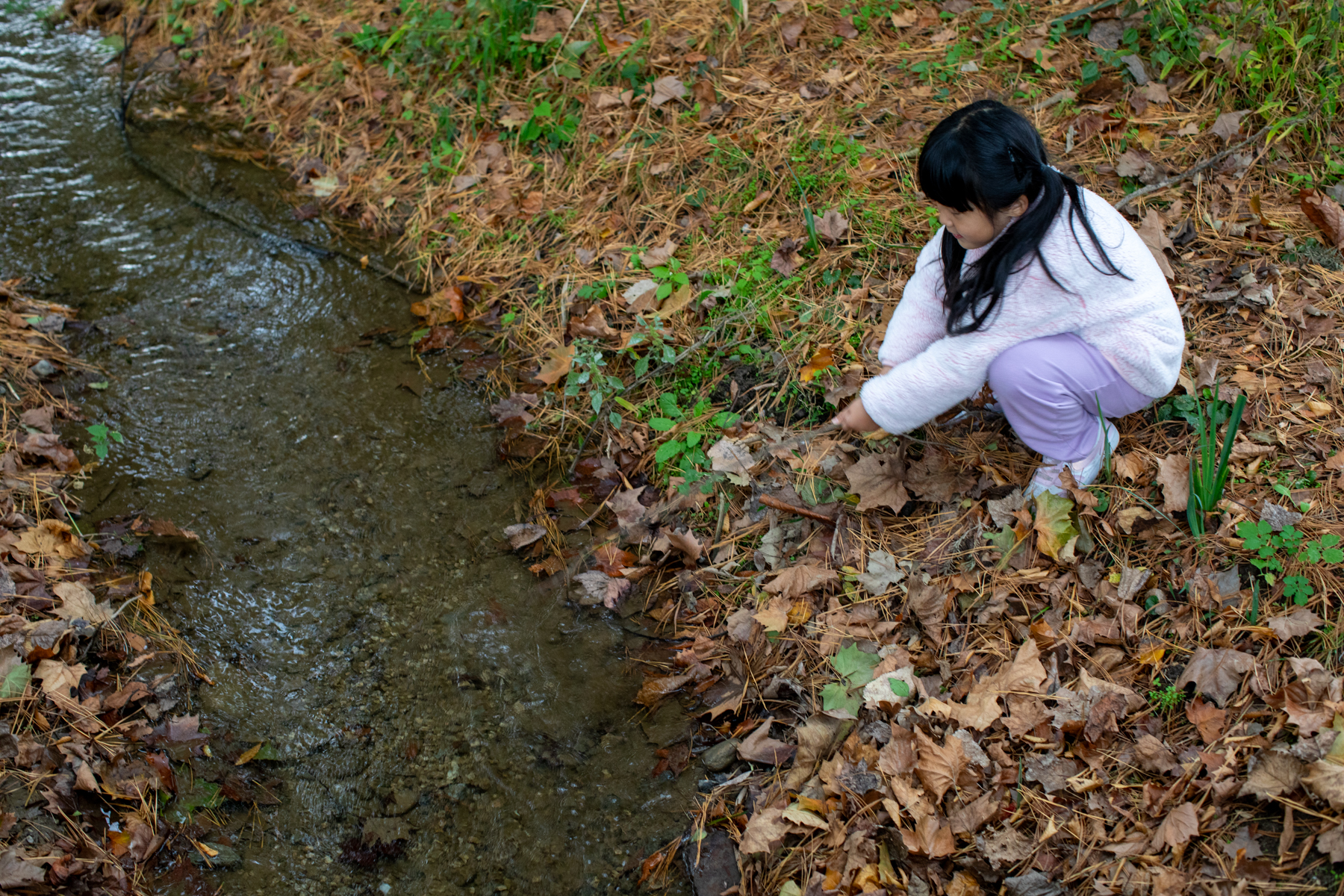 20261024-150810-mojinchan.jpg