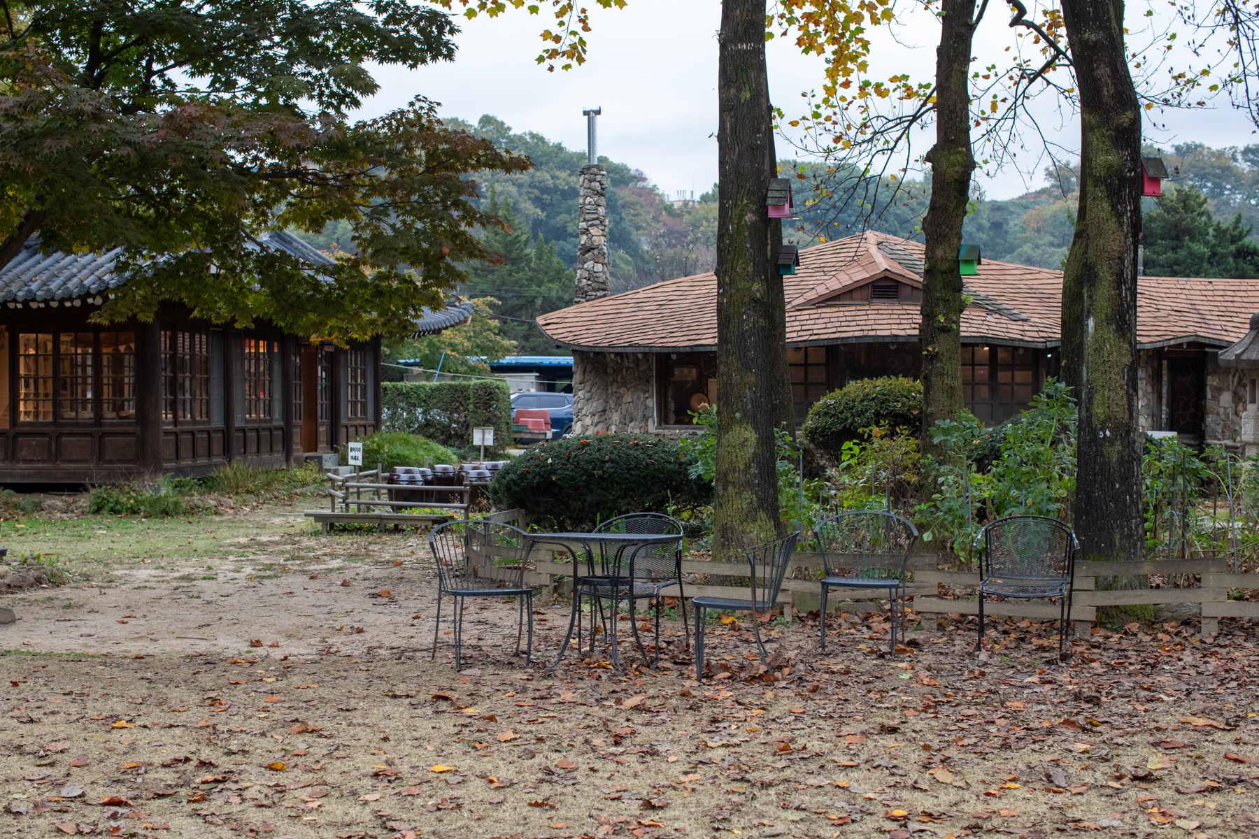 20261024-152850-mojinchan.jpg